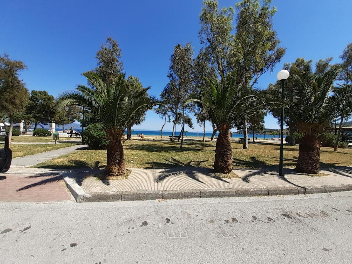 Villa Malena Alykes Beach Volos Ngoại thất bức ảnh